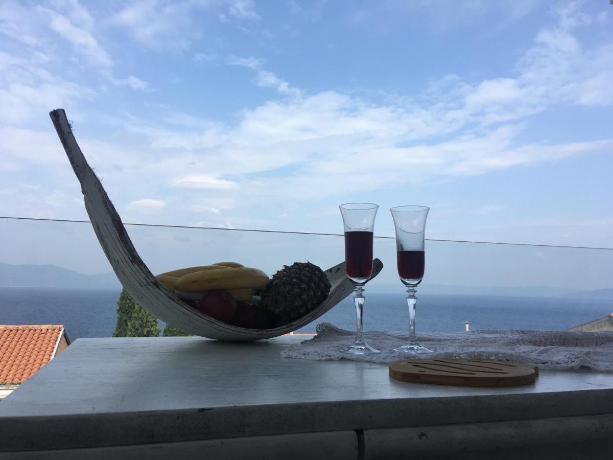 Lavandula Labin  Buitenkant foto