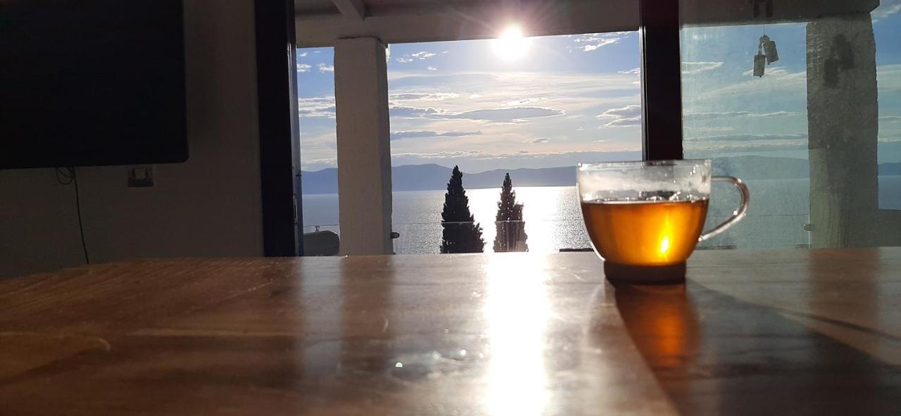 Lavandula Labin  Buitenkant foto