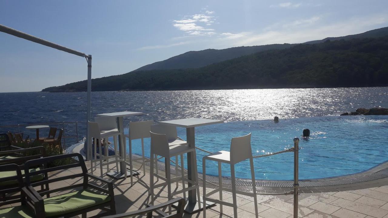 Lavandula Labin  Buitenkant foto