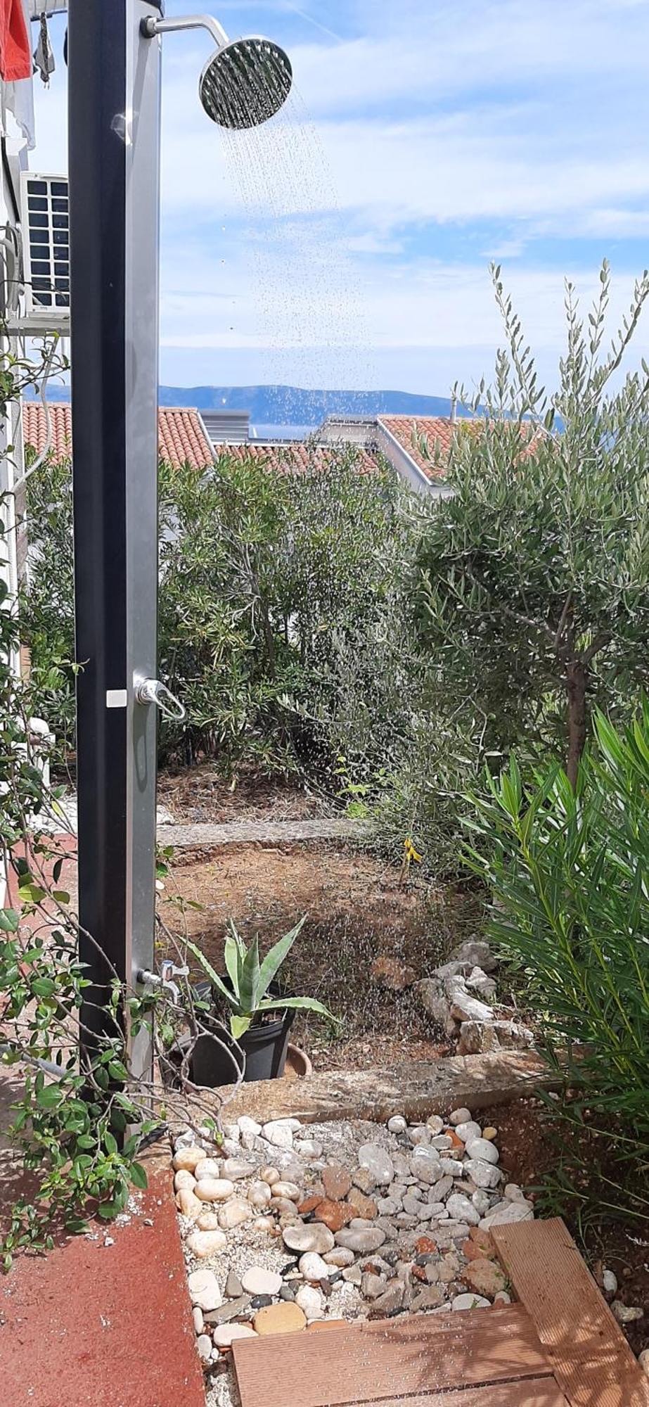 Lavandula Labin  Buitenkant foto