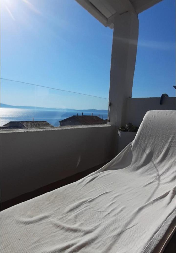 Lavandula Labin  Buitenkant foto