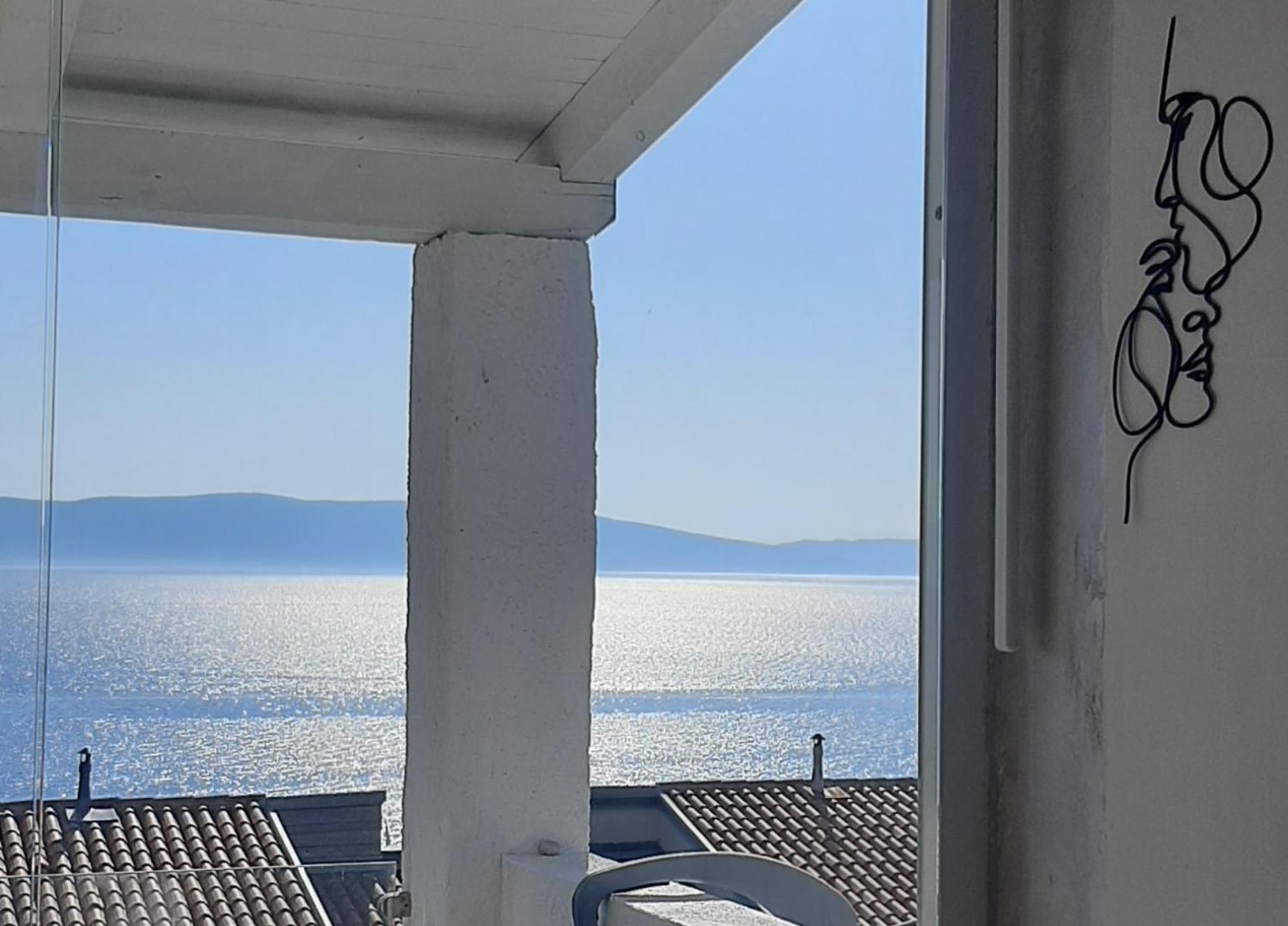 Lavandula Labin  Buitenkant foto