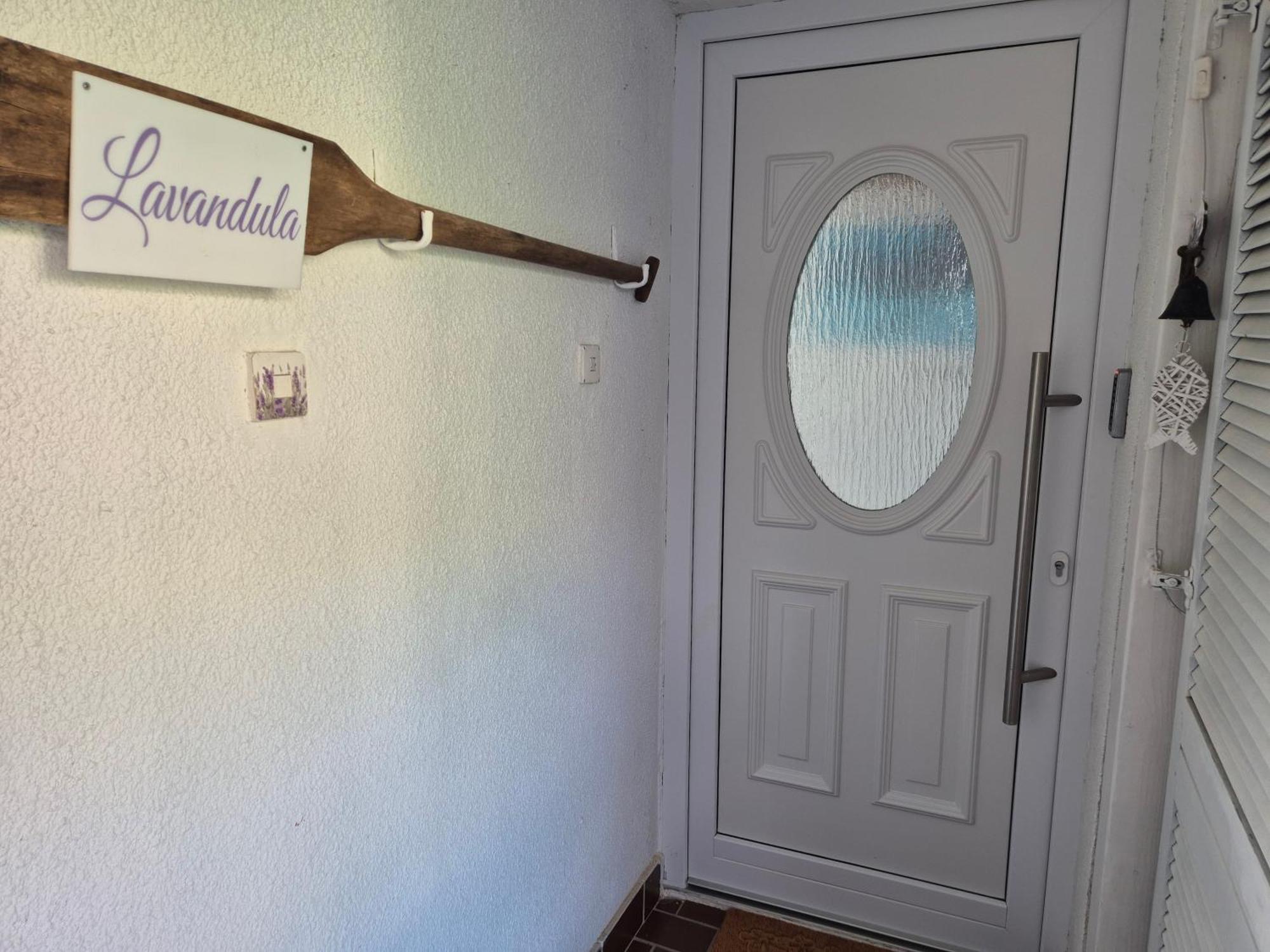 Lavandula Labin  Buitenkant foto